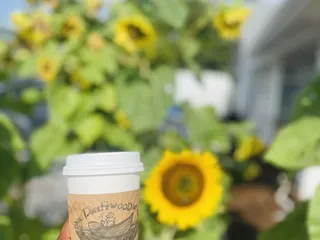 Driftwood Coffee Company