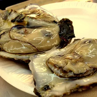 VA oysters from the raw bar