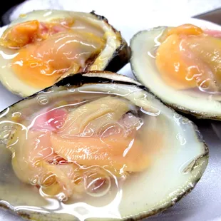 Raw clams (large)