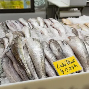 food, sandwiches, sandwich