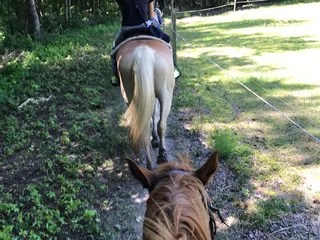 Peiffer Riding Stables