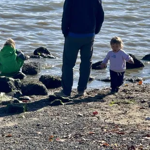 Beautiful waterside park