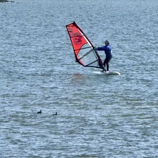 Beautiful waterside park