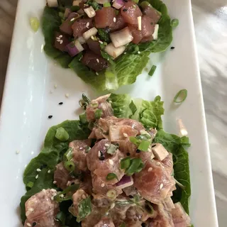 Poke Sampler