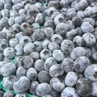 Blueberries from Hayton