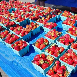 More seasonal local strawberries (6/3/23)