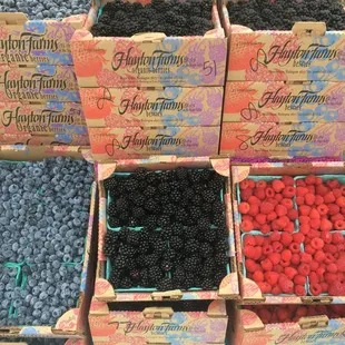 Hayton Farm berries