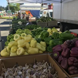 Alvarez Organic Farm has tons of pepper varieties