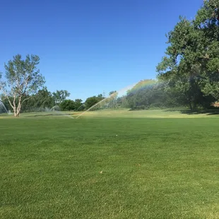Only concern is the sprinkler still running while game is in play. I had to wait until it passed by ball to hurry and get a hit in