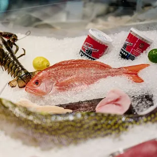 Our Fish Case
The freshest and most reliably sustainable seafood available.