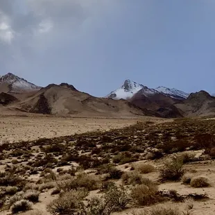 Amazing Dec view. Hard to scale but those are hundreds of Joshua trees before the base in tan center below peaks.