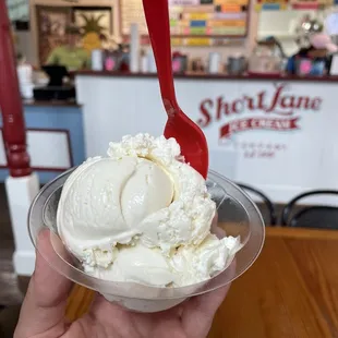 Milk &amp; Honey single scoop