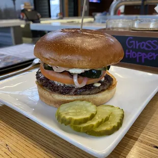 Greek Burger