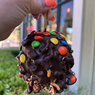 a hand holding a chocolate covered apple