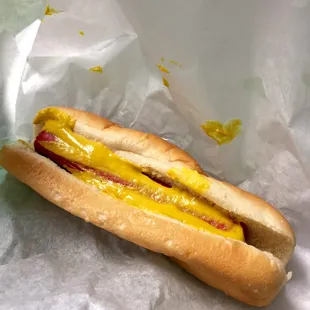 Hot dog with mustard