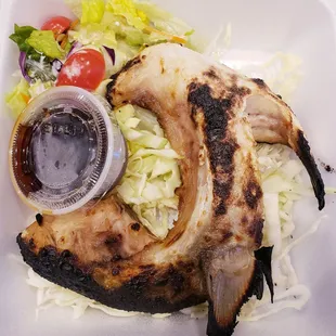 Hamachi kama!