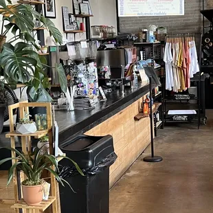 Place your orders here! Check out the menu.