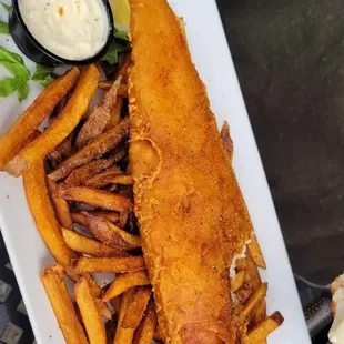 Fish and chips with horseradish tartar sauce