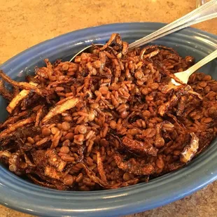 Mjuddara .... (not on the breakfast menu, but was available during breakfast today) ...