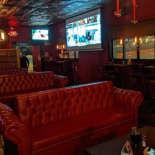 Couches and Projection TV