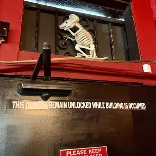 Look! A cute rat! Come on down for an impossible or antelope burger and beer!