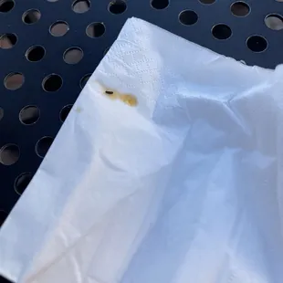 Bug I found in my beef broth