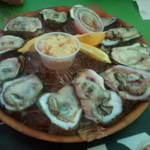 Best oysters in town