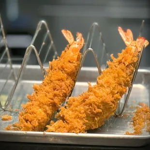 Kuma Ebi (World's Largest Prawn)
クマエビ (世界最大のエビ)