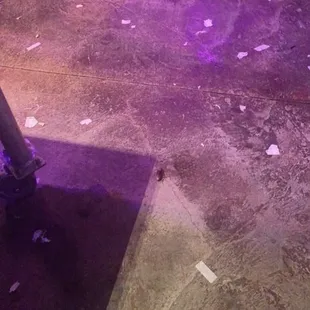 Also bugs. Took this the first time I went ‍