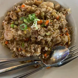 Combo fried rice