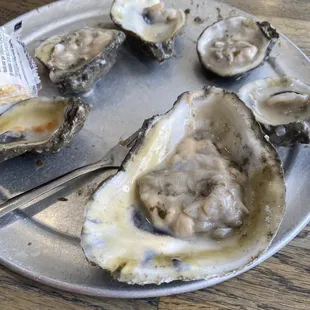 Oysters
