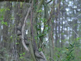 Crossroad's Steak & Grill