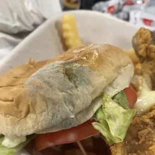 My friends moldy bun.