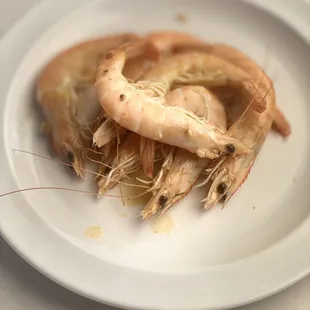 Shrimp By You