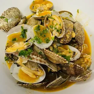 shellfish, oysters, oysters and mussels, mussels, food
