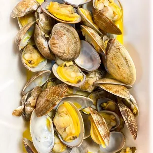 Clams