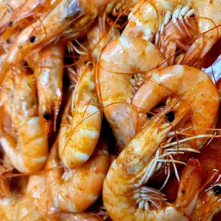 Shrimp