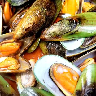 Green Mussels