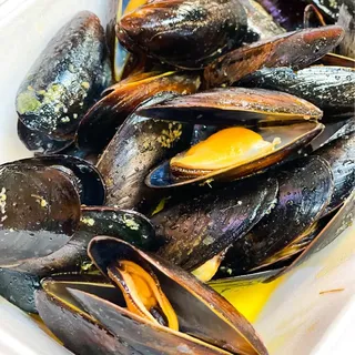 Black Mussels