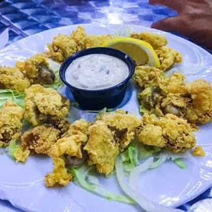 Fried Oysters