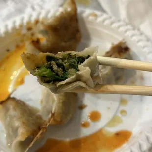 Fried Pork and Chive Dumpling