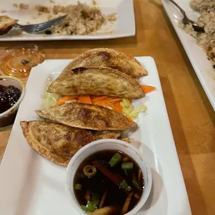 Vegetable Dumplings