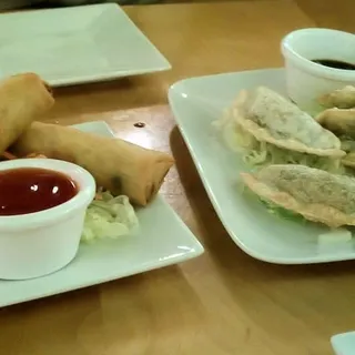 Vegetable Fried Dumplings