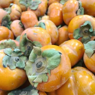 Persimmons