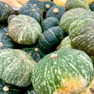 Kabocha squash