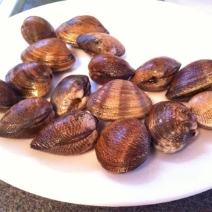 Manila clams