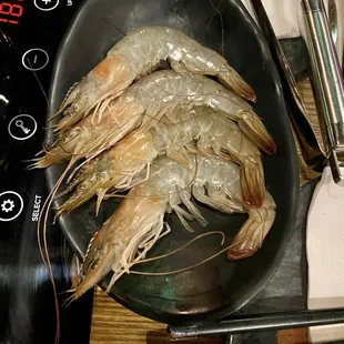 Shrimp