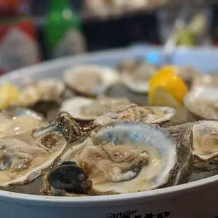 1/2 &amp; 1/2 Blue Point &amp; Gulf Oysters