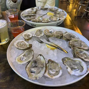 mussels, food, shellfish, oysters, oysters and mussels