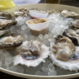 oysters, oysters and mussels, shellfish, food, mussels